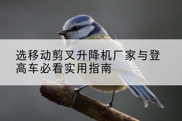 湟中电动升降机厂家-选移动剪叉升降机厂家与登高车必看实用指南