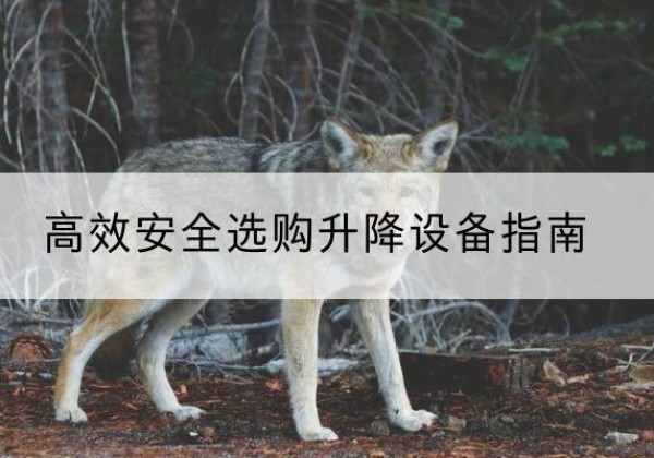 湟中升降货梯厂家推荐-*安全选购升降设备指南