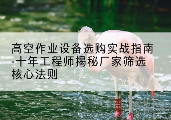 湟中剪叉式升降机厂家-高空作业设备选购实战指南-十年工程师揭秘厂家筛选核心法则
