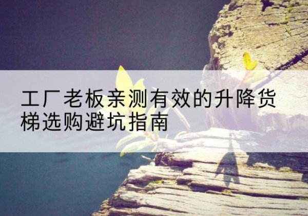 湟中升降货梯怎么选-工厂老板亲测有效的升降货梯选购避坑指南